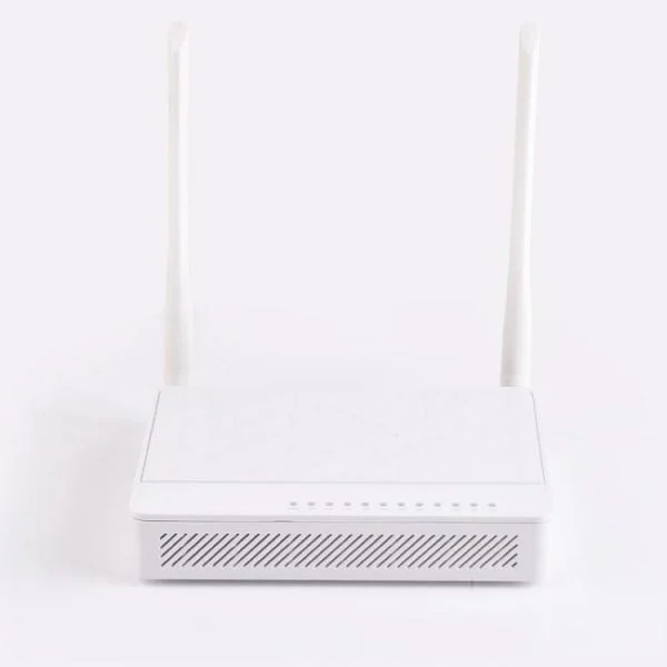 router with optical fiber port